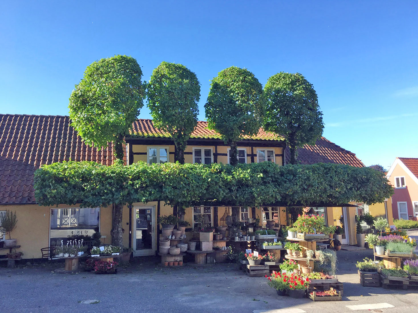 Blomsterbutik set fra gaden