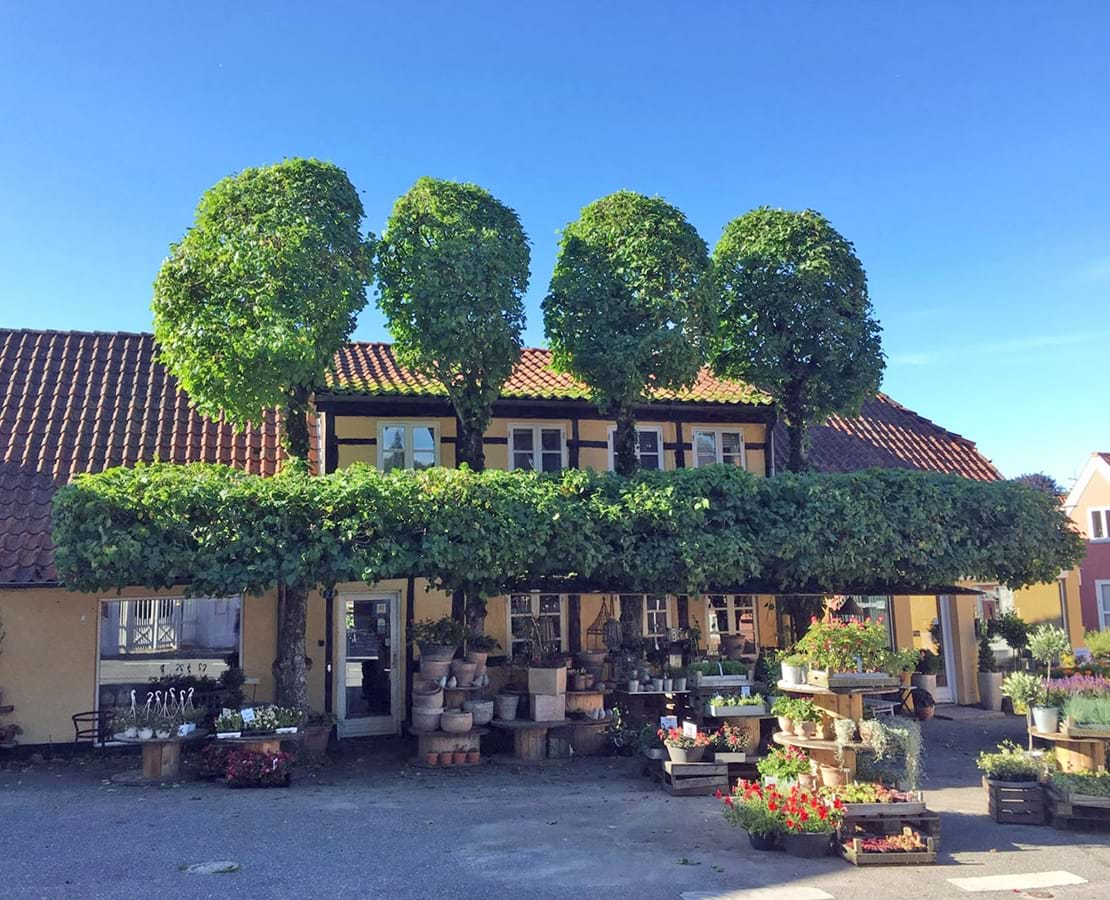 Blomsterbutik set fra gaden