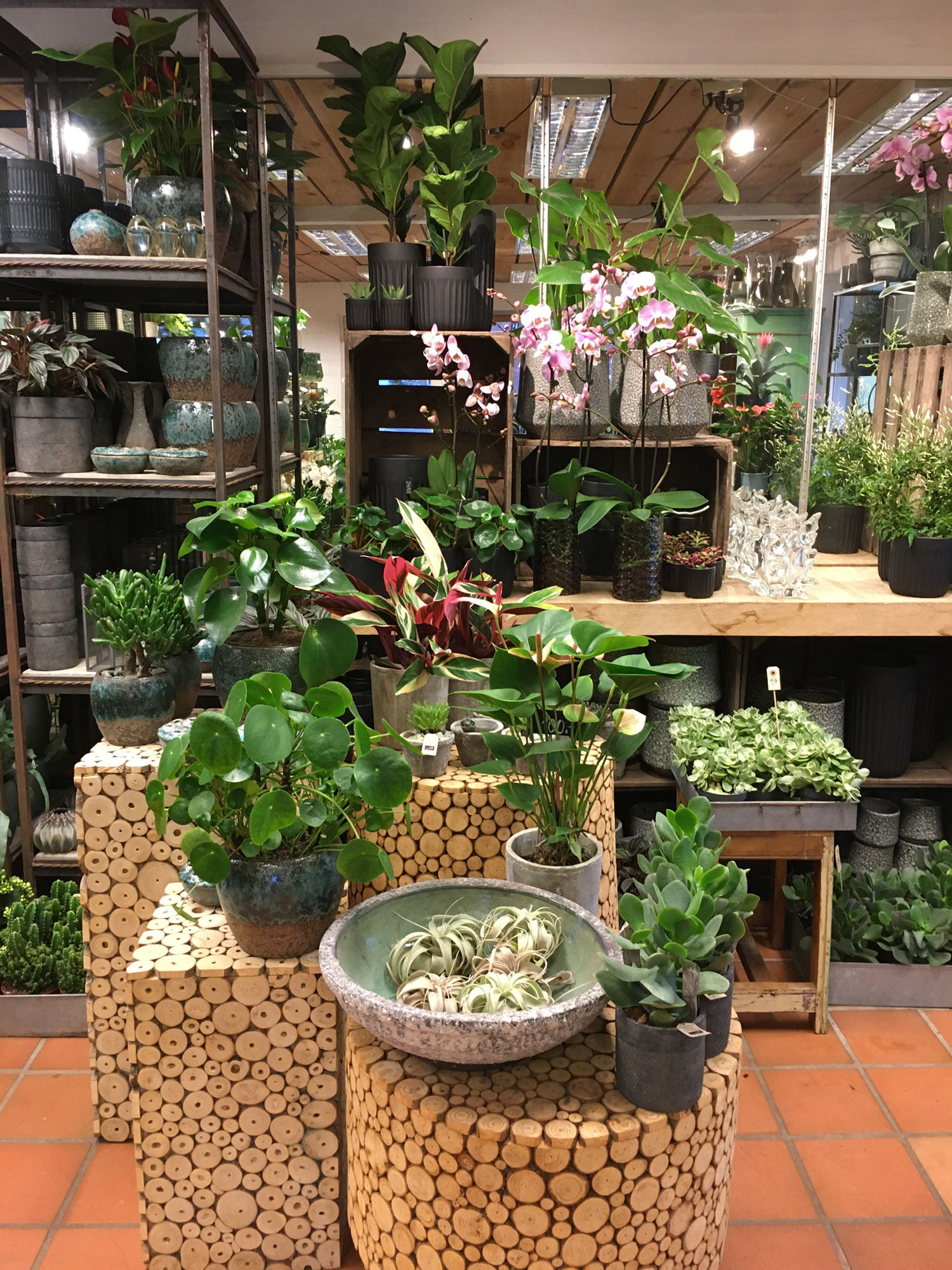 Hænder der holder mobiltelefon og tager billede af blomster